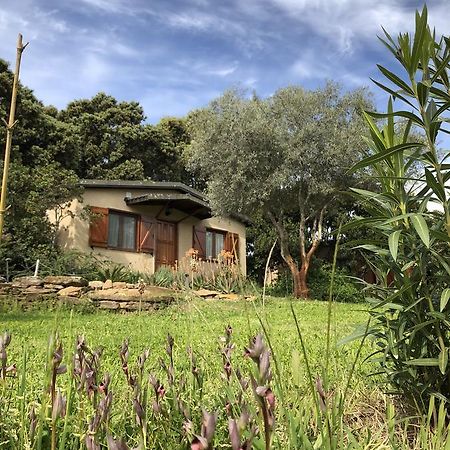 La Cerca Del Alcornoque Guest House Casas de Belvis Exterior photo