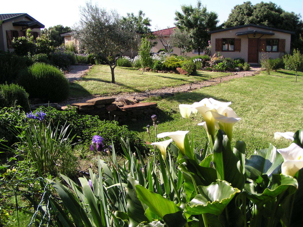 La Cerca Del Alcornoque Guest House Casas de Belvis Exterior photo