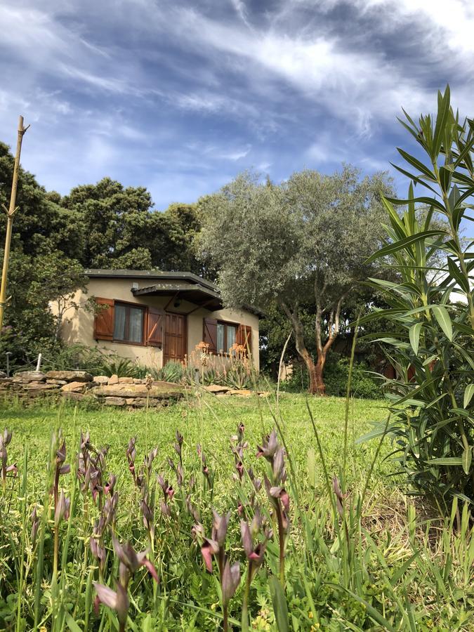 La Cerca Del Alcornoque Guest House Casas de Belvis Exterior photo